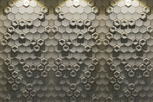 Dual Hexagonal Pattern Wall Cladding